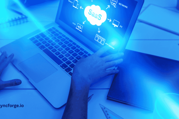 SaaS Management Software: 5 Smart Steps for Successful Execution SaaS Management Software: 5 Smart Steps for Successful Execution