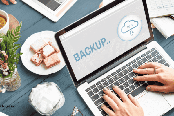 SaaS Backup an Ultimate Saviour: Barricade Against Accidental Deletion, Malware & Audit Failure SaaS Backup an Ultimate Saviour: Barricade Against Accidental Deletion, Malware & Audit Failure